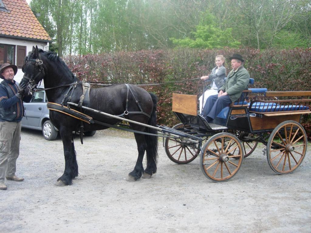 B&B Ter Castaigne Koekelare Buitenkant foto