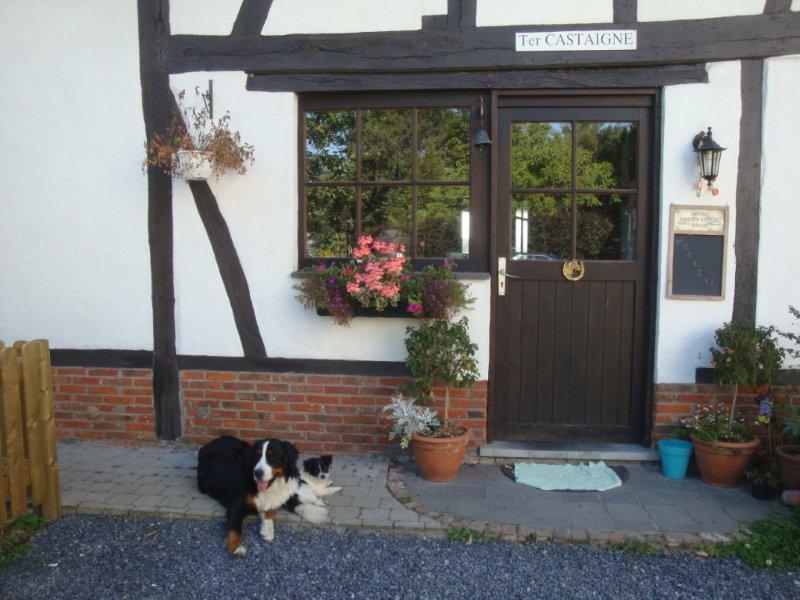 B&B Ter Castaigne Koekelare Buitenkant foto