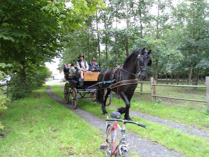 B&B Ter Castaigne Koekelare Buitenkant foto