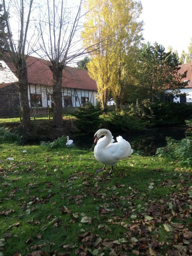 B&B Ter Castaigne Koekelare Buitenkant foto